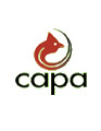Carolina Asphalt Pavement Association